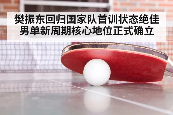 樊振东回归国家队首训状态绝佳男单新周期核心地位正式确立