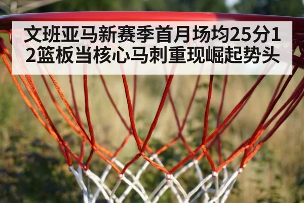 basketball hoop net