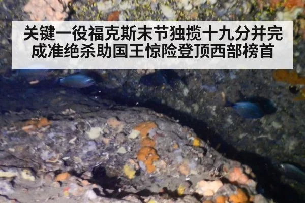 关键一役福克斯末节独揽十九分并完成准绝杀助国王惊险登顶西部榜首